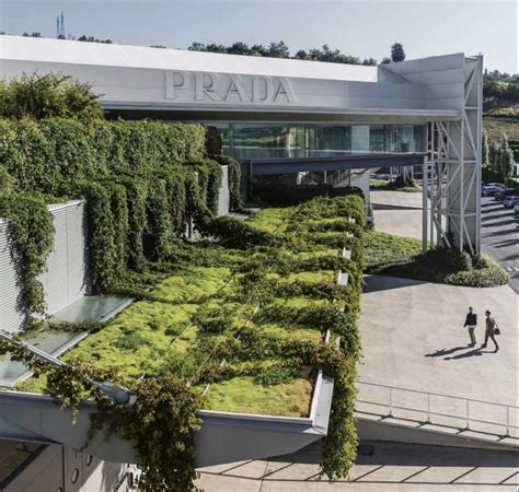 stabilimento prada via lungarno 1213 terranova bracciolini|gruppo prada sito ufficiale.